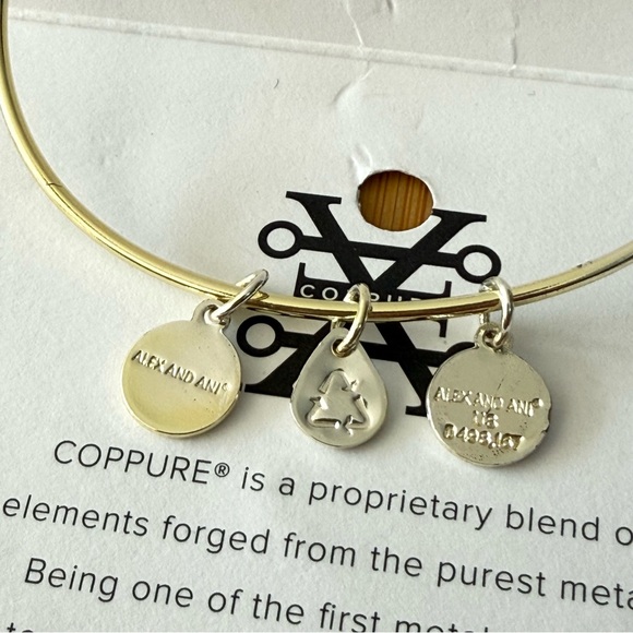 T Alex and Ani Silver Initial Charm Bracelet - Picture 4 of 8